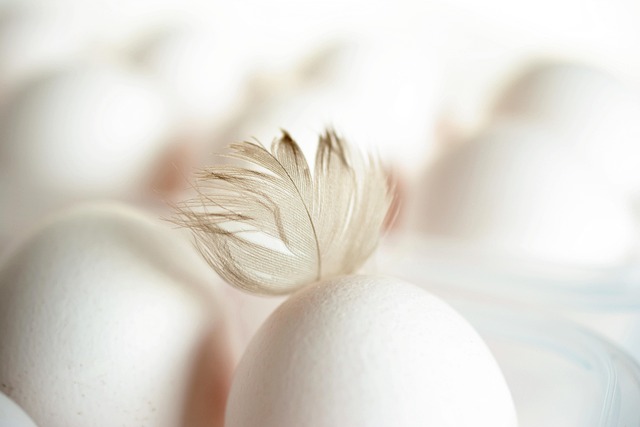 walking on eggshells