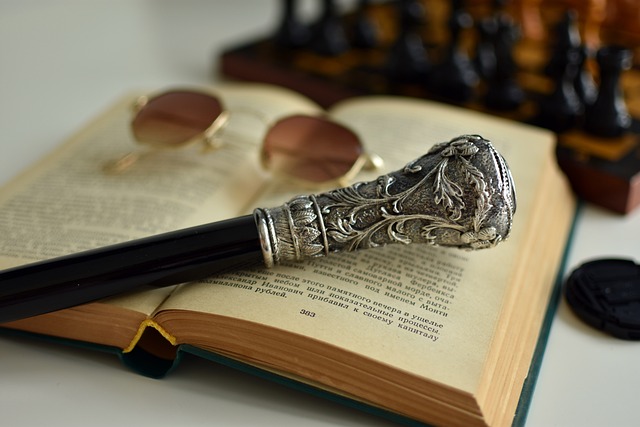 Hình ảnh minh họa ý nghĩa của từ walking stick