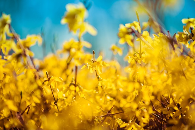 warm spring