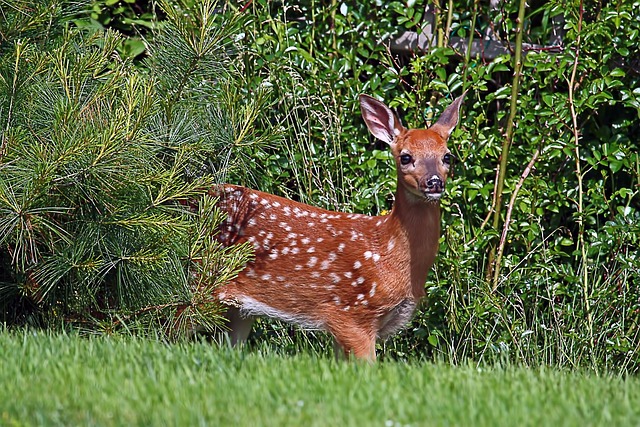 Hình ảnh minh họa ý nghĩa của từ wary