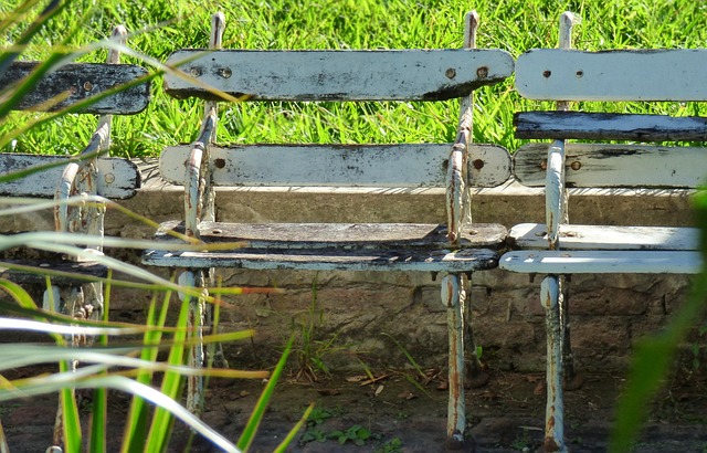 Hình ảnh minh họa ý nghĩa của từ wasted