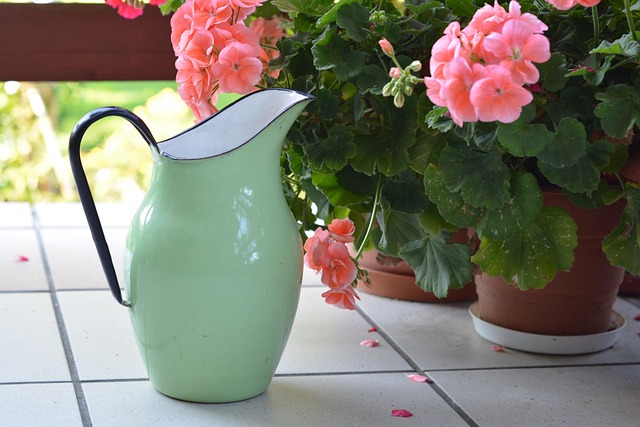 Hình ảnh minh họa ý nghĩa của từ water jug