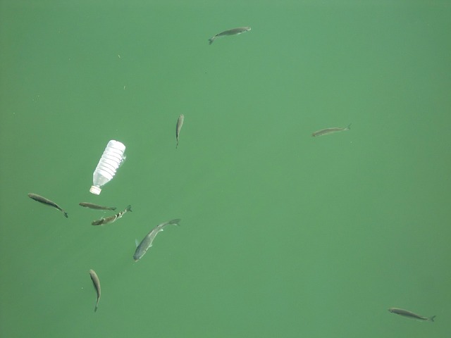 Hình ảnh minh họa ý nghĩa của từ water pollution