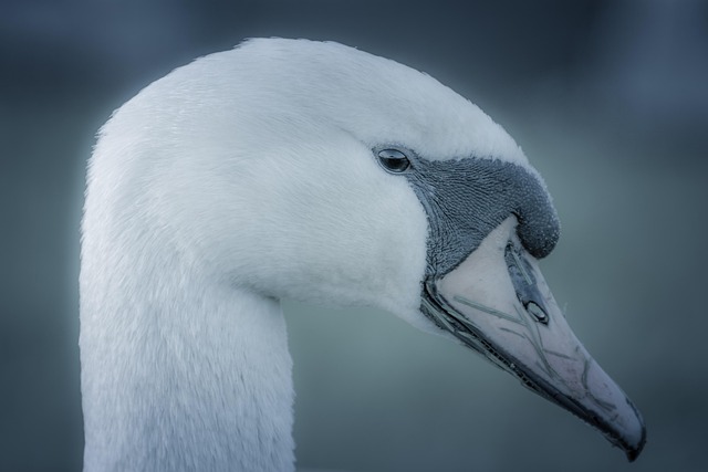 Hình ảnh minh họa ý nghĩa của từ water saturation