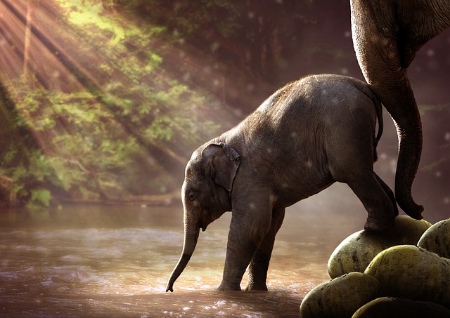 Watering hole