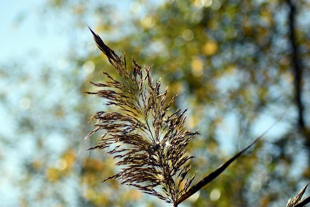 Hình ảnh minh họa ý nghĩa của từ waterlogged