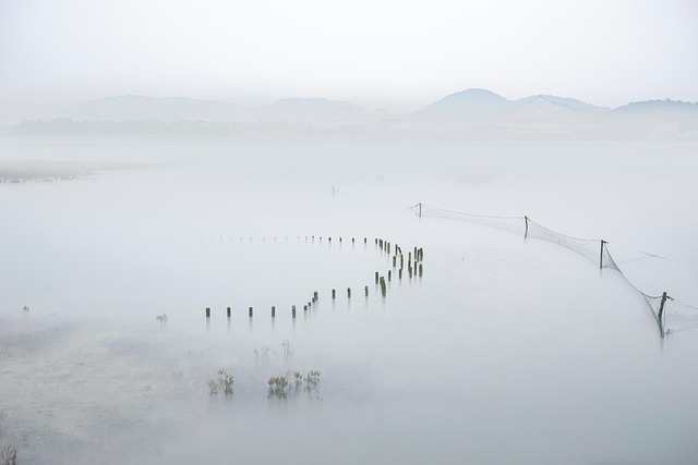 Hình ảnh minh họa ý nghĩa của từ waterscape