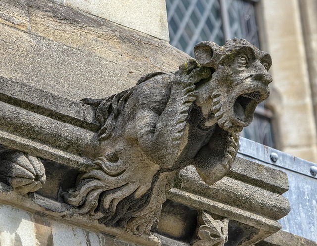 Hình ảnh minh họa ý nghĩa của từ waterspout