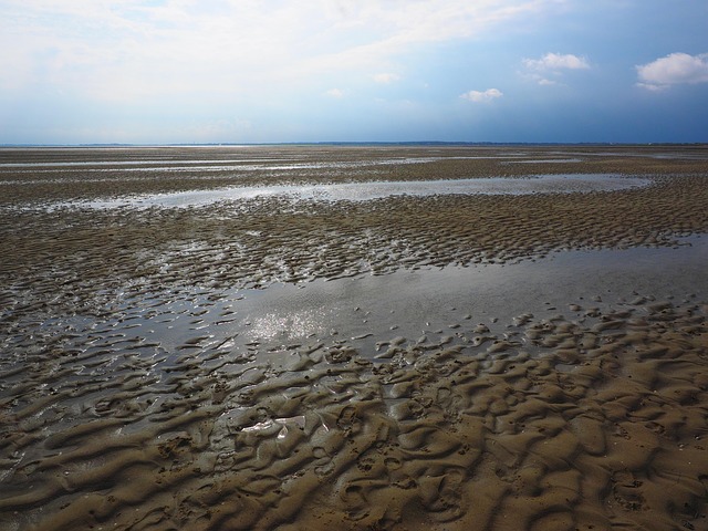 watt