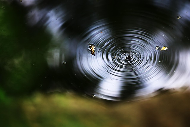 Hình ảnh minh họa ý nghĩa của từ wavelength