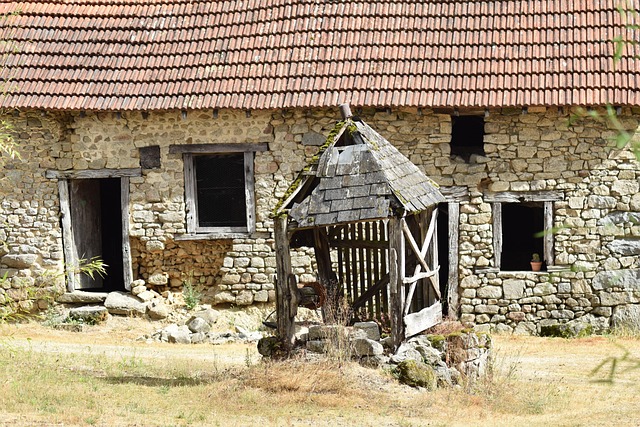 Hình ảnh minh họa ý nghĩa của từ weal