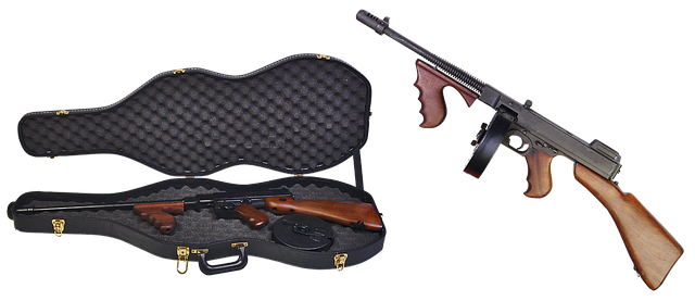 Hình ảnh minh họa ý nghĩa của từ weapons smuggling