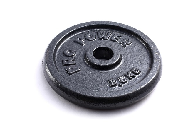 weight disc