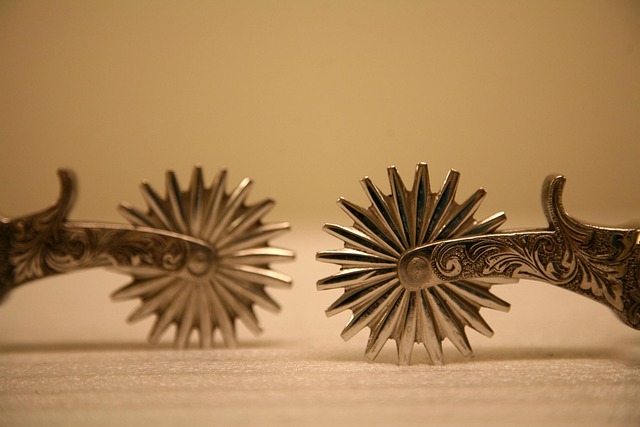 Hình ảnh minh họa ý nghĩa của từ western wear