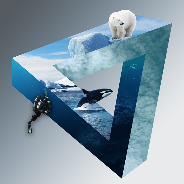whale protection