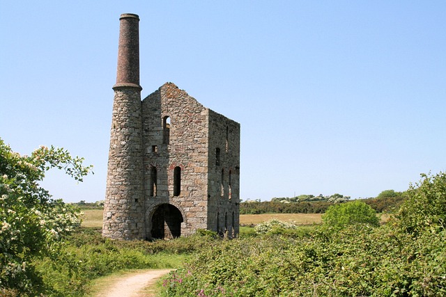 wheal