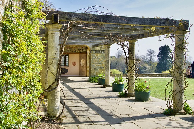 Hình ảnh minh họa ý nghĩa của từ wheel arch extension