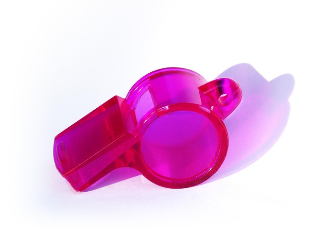 Hình ảnh minh họa ý nghĩa của từ whistle