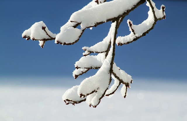 white magic