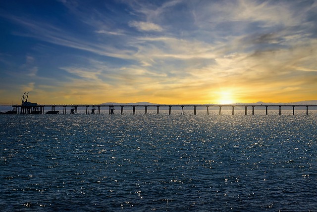 Hình ảnh minh họa ý nghĩa của từ whiteheads