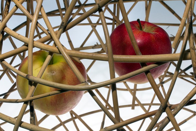 Hình ảnh minh họa ý nghĩa của từ wickerwork