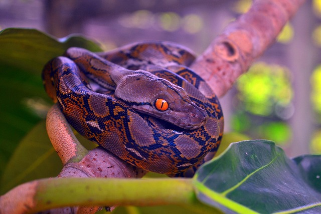 Hình ảnh minh họa ý nghĩa của từ wide open