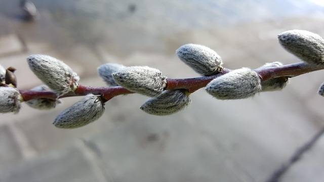 Hình ảnh minh họa ý nghĩa của từ widening