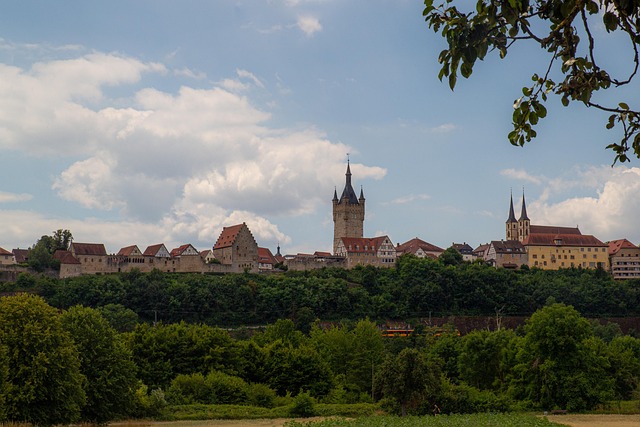 Hình ảnh minh họa ý nghĩa của từ wimp