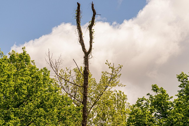 Hình ảnh minh họa ý nghĩa của từ win over
