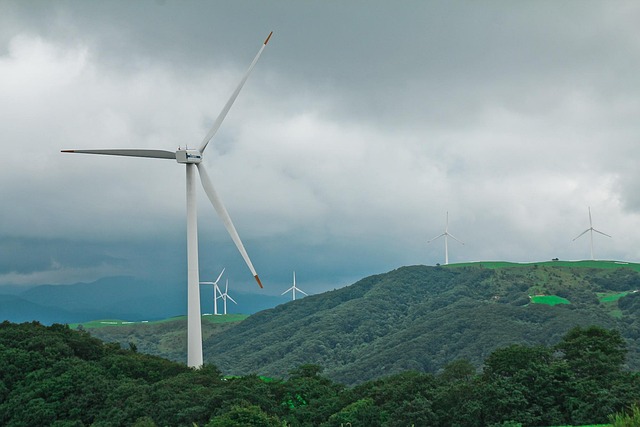 wind force