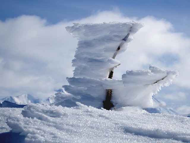 wind scale