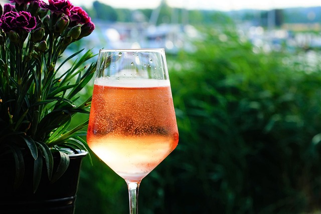 wine spritzer