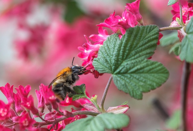 Hình ảnh minh họa ý nghĩa của từ winger