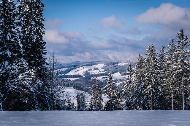 winter chill