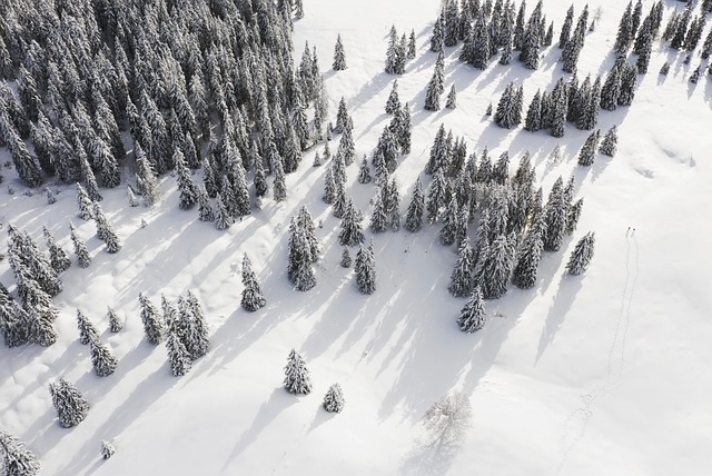 winter hiking
