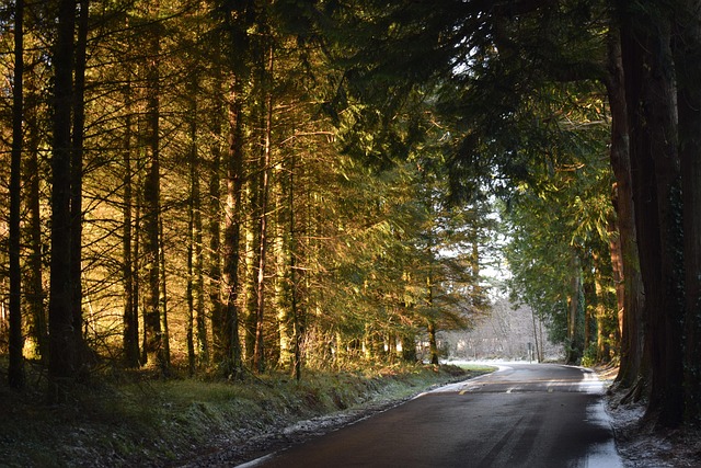 winter solstice