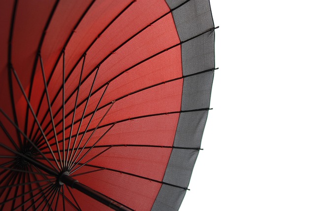 Hình ảnh minh họa ý nghĩa của từ wireframe