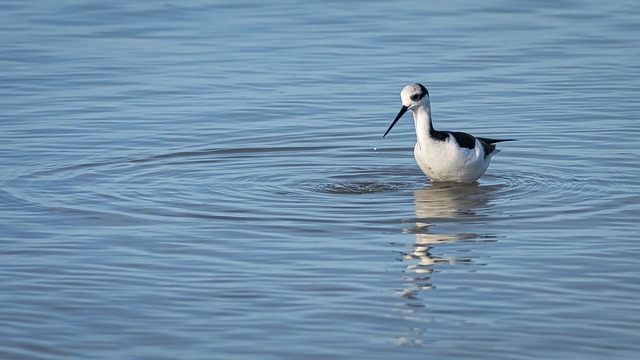 Hình ảnh minh họa ý nghĩa của từ womb