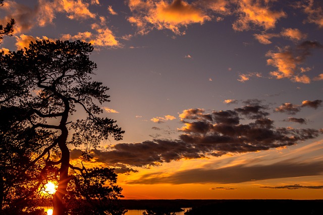 Hình ảnh minh họa ý nghĩa của từ wonderfully