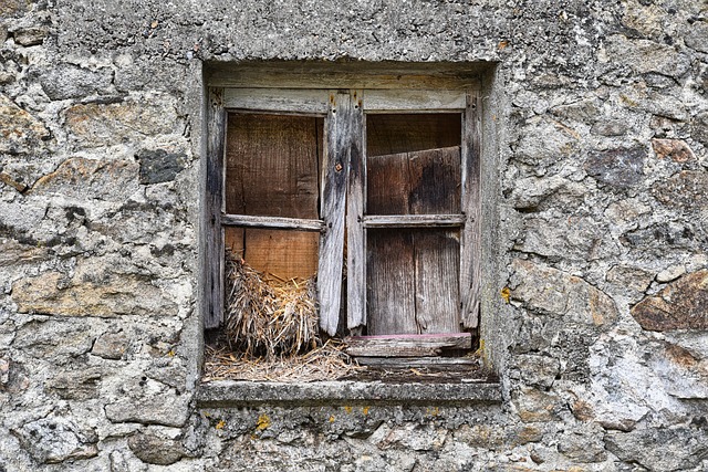 wood frame