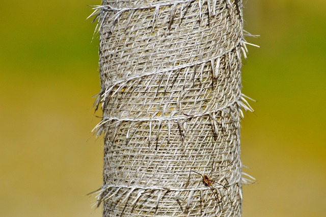 wood protector