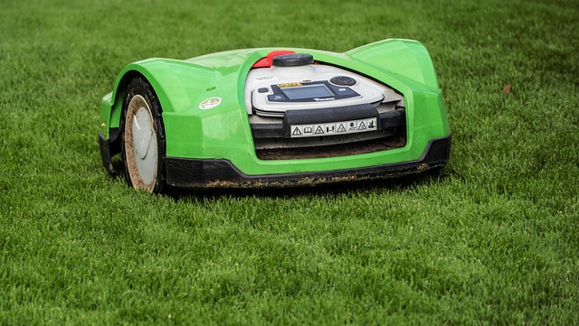 work autonomously