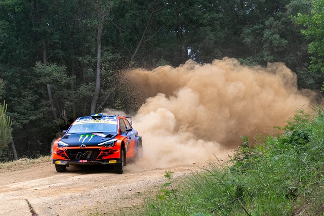 world rally championship
