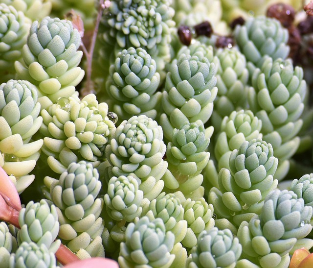 Hình ảnh minh họa ý nghĩa của từ worldliness