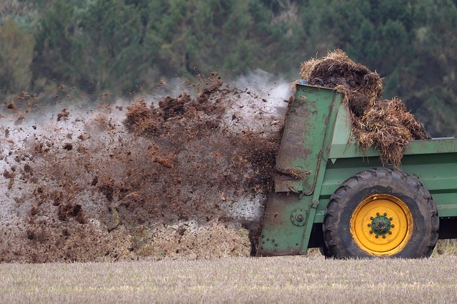 worm manure