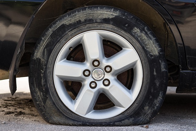Hình minh họa accidentato