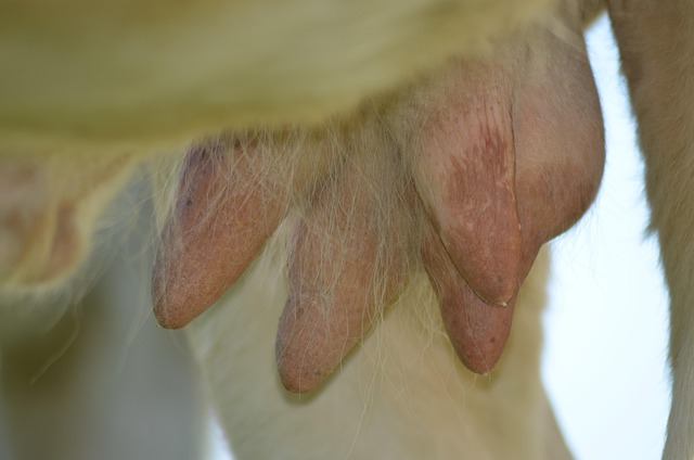 Hình ảnh minh họa ý nghĩa của từ worse