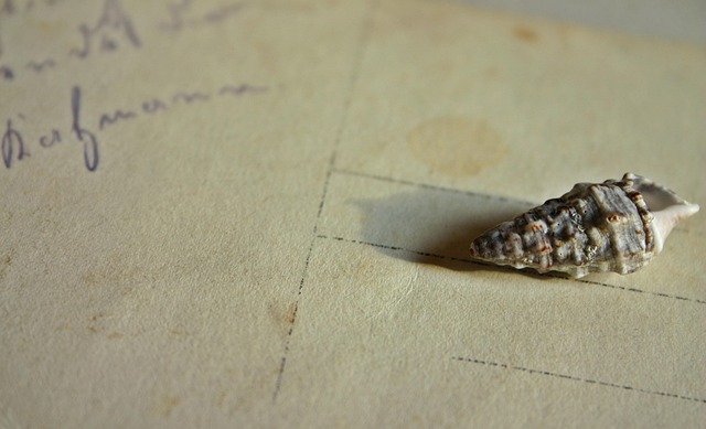 Hình ảnh minh họa ý nghĩa của từ written correspondence