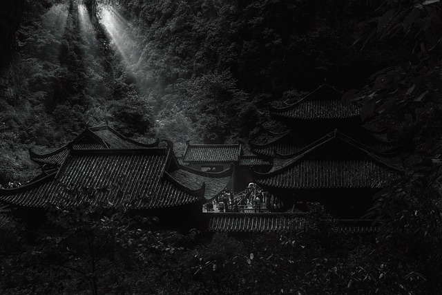 Hình ảnh minh họa ý nghĩa của từ wulong tea