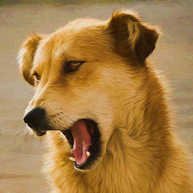 yawn